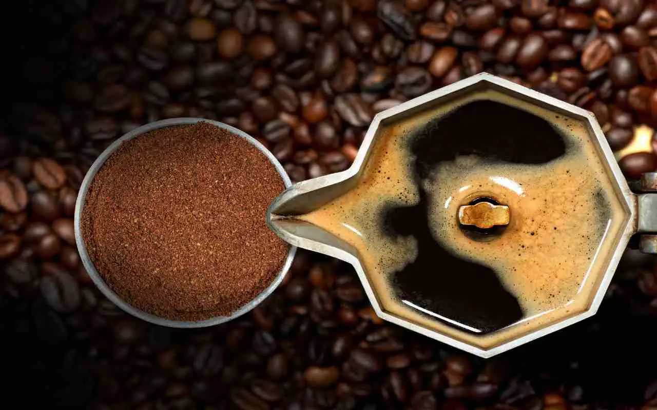 Coltiva ortaggi estivi che si nutrono di fondi di caffè: la guida aggiornata Coltiva ortaggi estivi che si nutrono di fondi di caffè: la guida aggiornata
