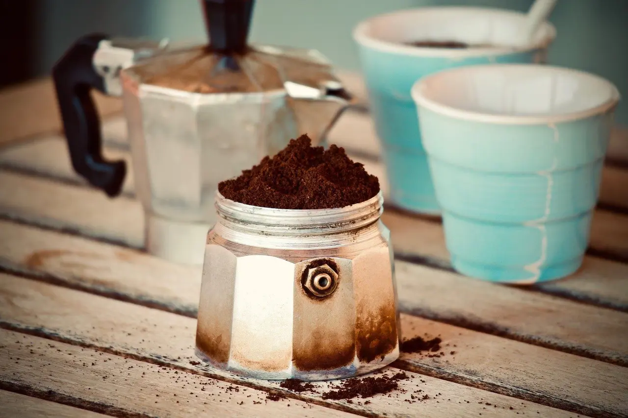 Le piante perenni più resistenti che assorbono nutrienti dal caffè riciclato Le piante perenni più resistenti che assorbono nutrienti dal caffè riciclato