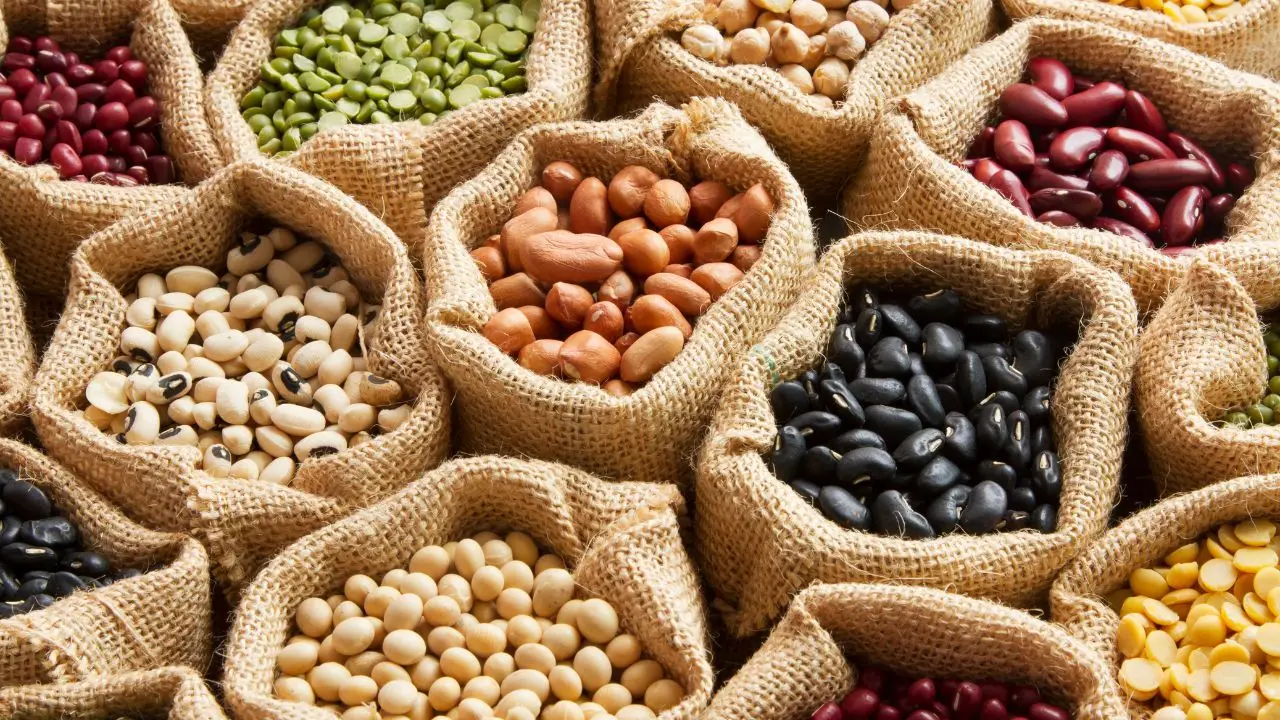 I legumi per cena aiutano davvero a dormire meglio? La risposta degli esperti I legumi per cena aiutano davvero a dormire meglio? La risposta degli esperti