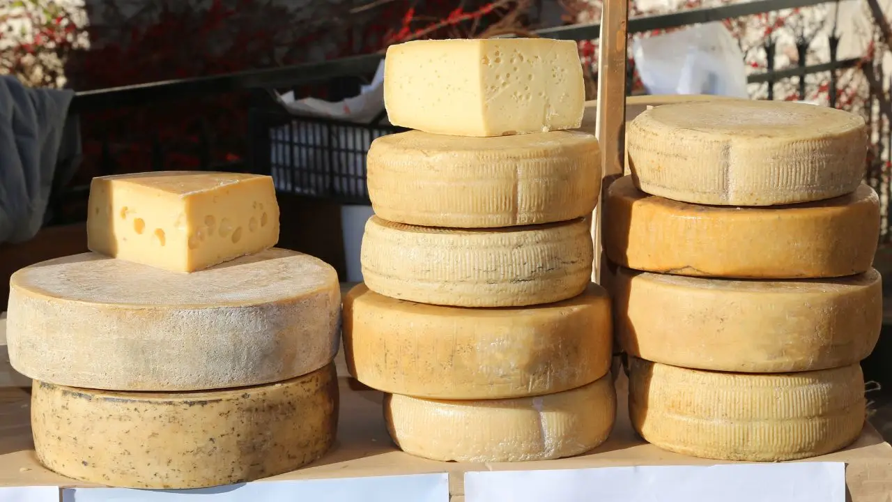Formaggi freschi e finocchio: perché sono l'abbinamento ideale per la pancia piatta Formaggi freschi e finocchio: perché sono l'abbinamento ideale per la pancia piatta