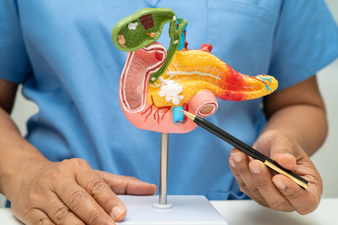 Cosa mangiare la sera per limitare la ritenzione idrica e sentirsi più leggeri Cosa mangiare la sera per limitare la ritenzione idrica e sentirsi più leggeri