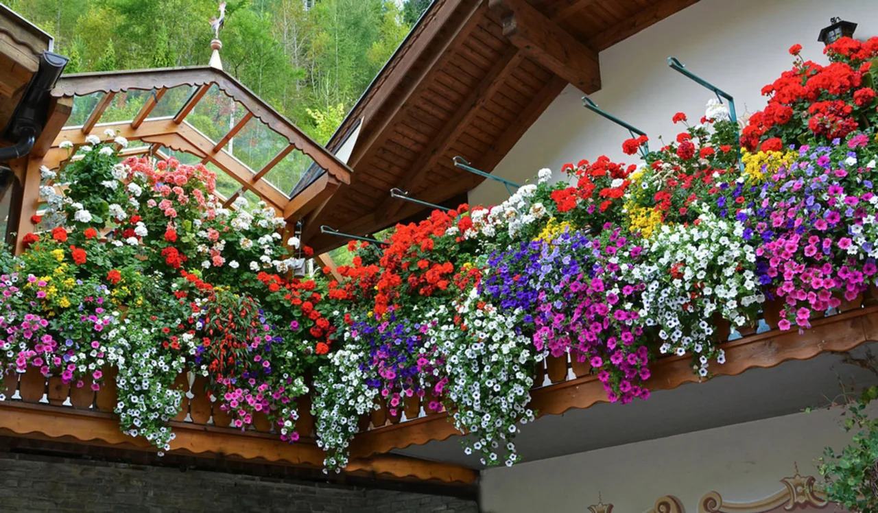 Il segreto per coltivare un balcone verde con fiori resistenti e facili da gestire