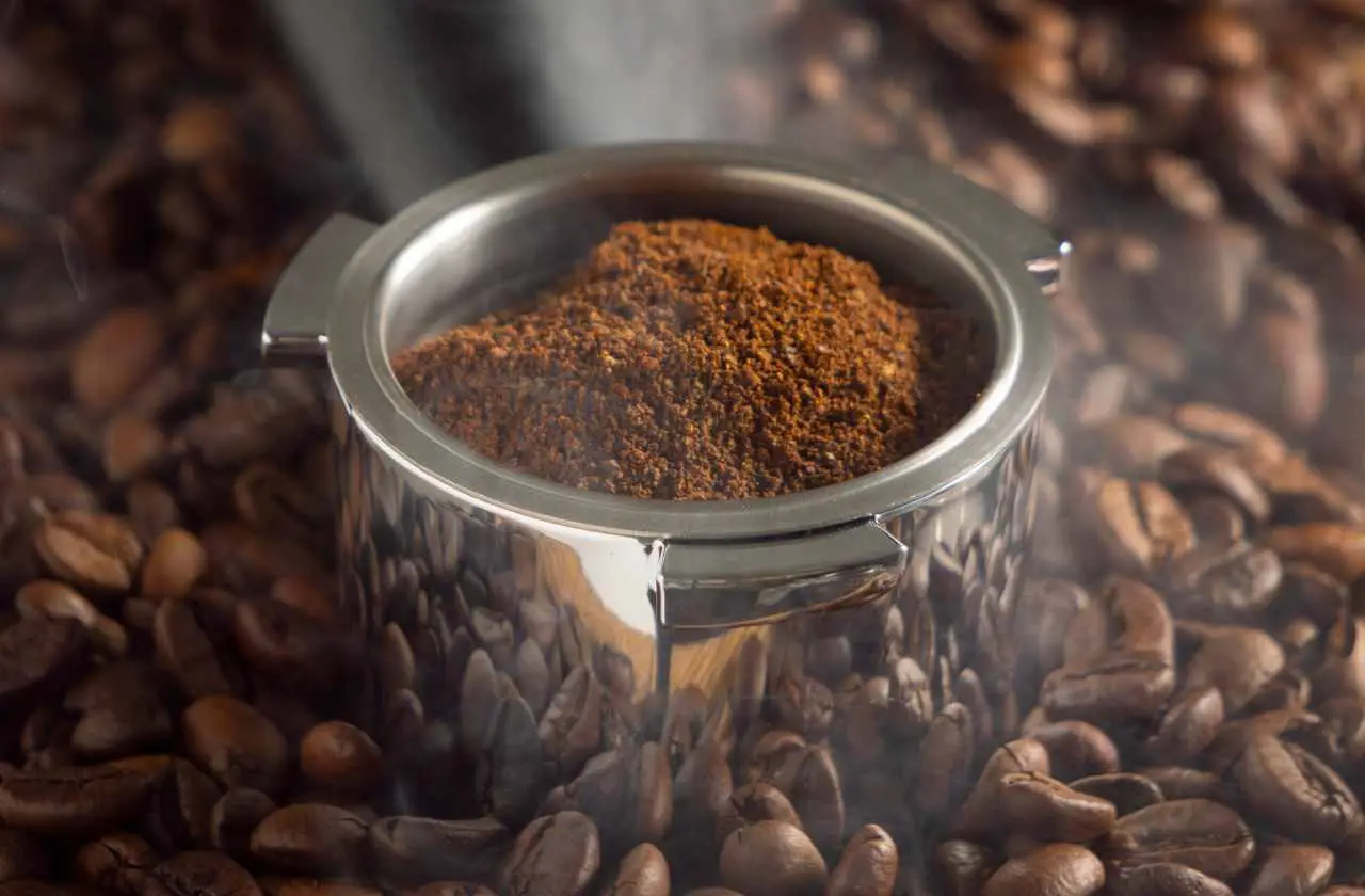 Usa i fondi di caffè per far crescere queste 3 piante da cucina: il trucco degli esperti