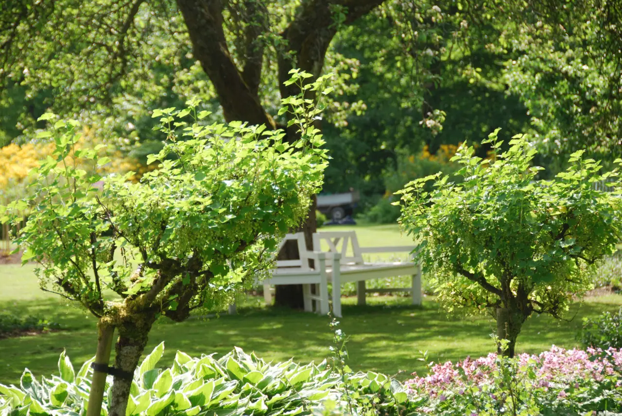 Scopri le tre azioni fondamentali per prendersi cura di un giardino sano e rigoglioso