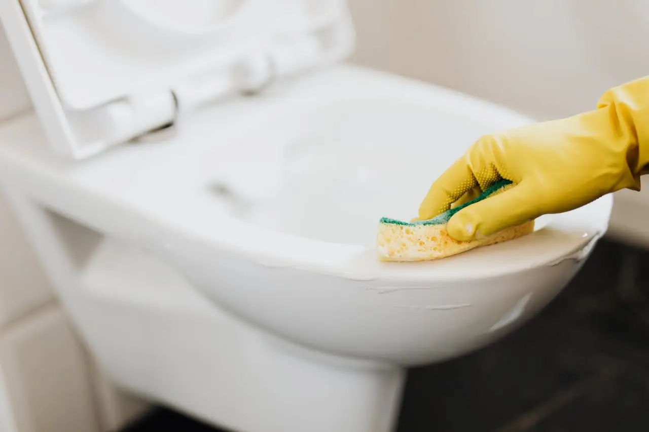Pulire il bagno con rimedi naturali: scopri come igienizzare senza detersivi chimici Pulire il bagno con rimedi naturali: scopri come igienizzare senza detersivi chimici
