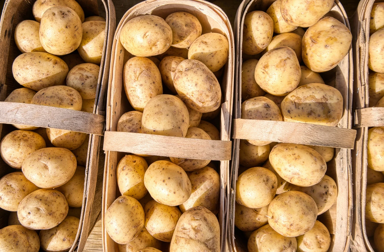 Patate e infiammazione: mito o realtà? Cosa sapere prima di eliminarle dalla dieta