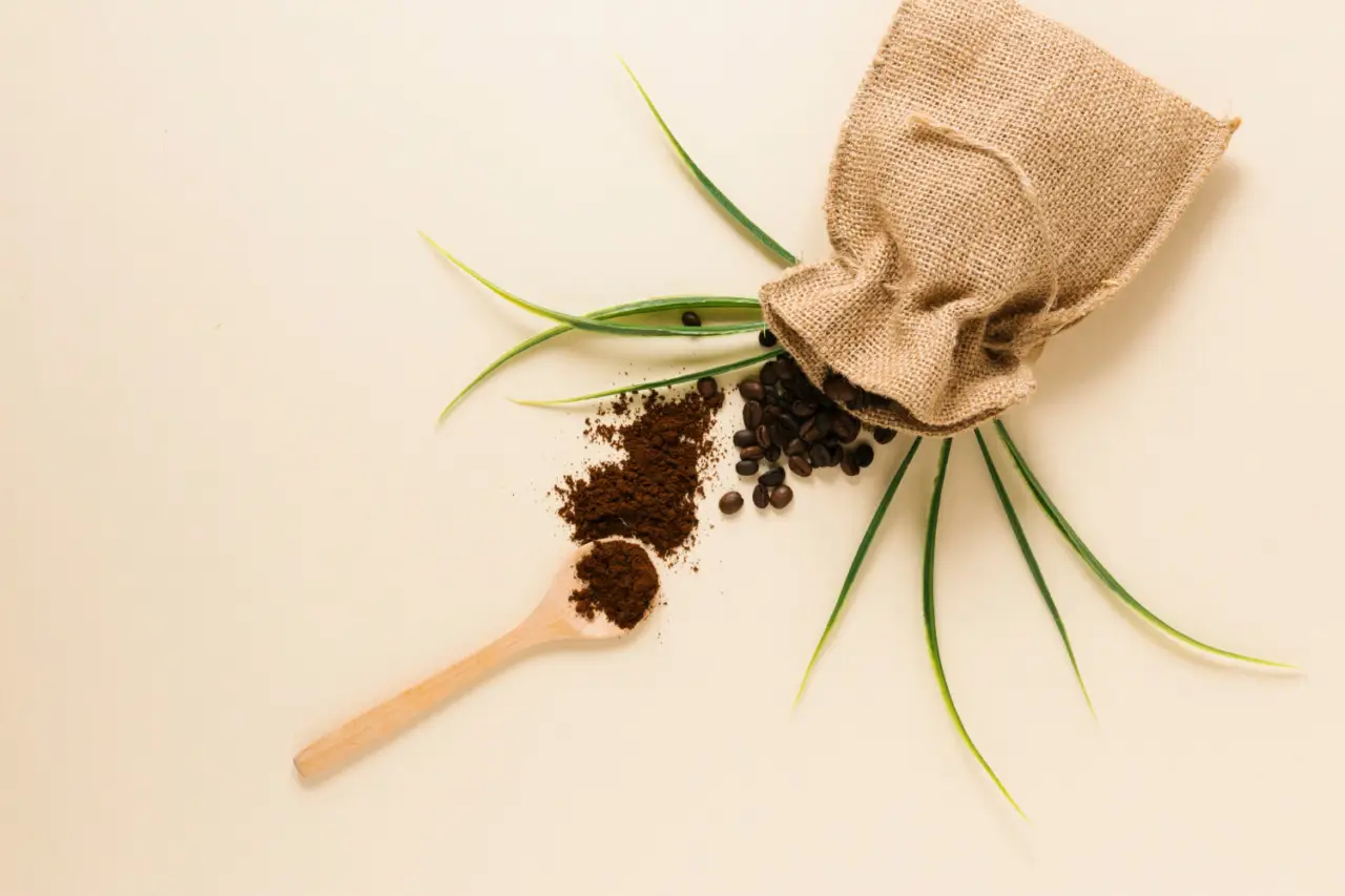 Le piante perenni più resistenti che assorbono nutrienti dal caffè riciclato Le piante perenni più resistenti che assorbono nutrienti dal caffè riciclato