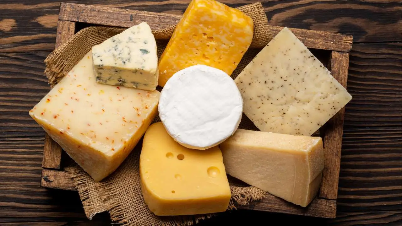 I formaggi magri consigliati dai dietisti per tenere stabile la glicemia I formaggi magri consigliati dai dietisti per tenere stabile la glicemia