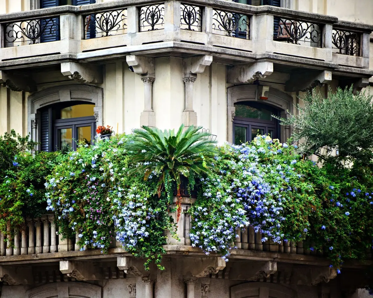 Il segreto per coltivare un balcone verde con fiori resistenti e facili da gestire Il segreto per coltivare un balcone verde con fiori resistenti e facili da gestire