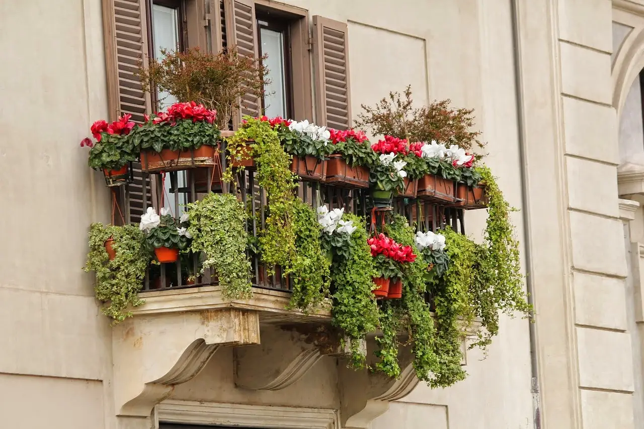 Il segreto per coltivare un balcone verde con fiori resistenti e facili da gestire Il segreto per coltivare un balcone verde con fiori resistenti e facili da gestire